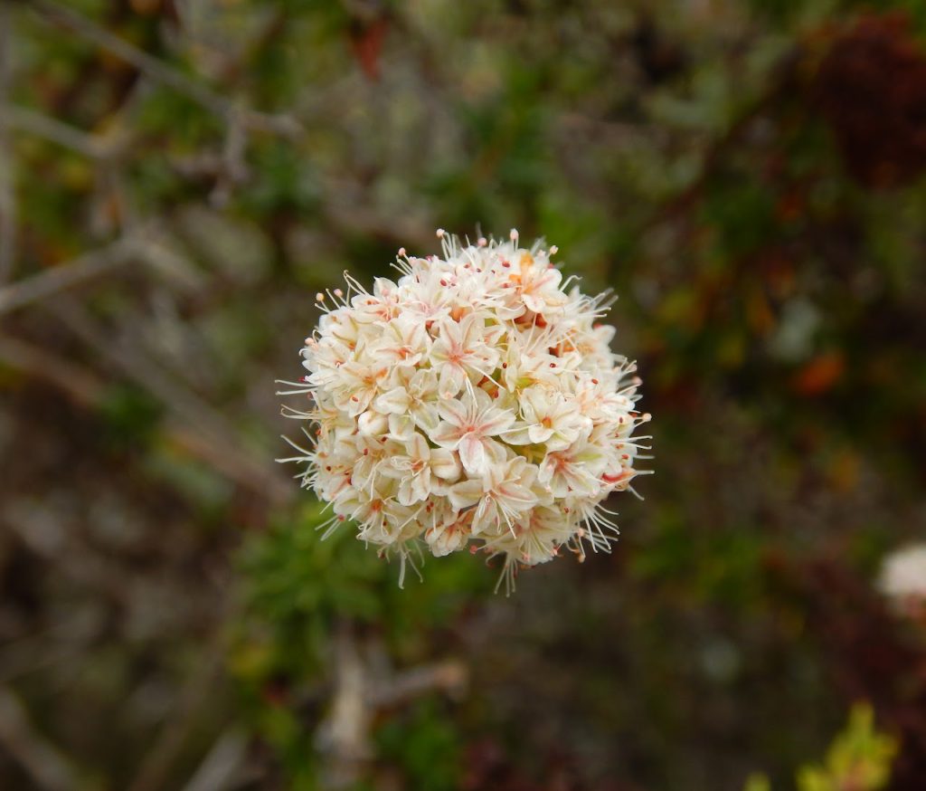 DSCN0043