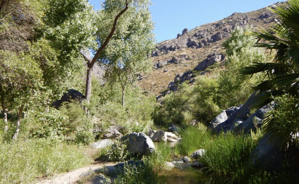 Arroyo en el Valle de Guadalupe