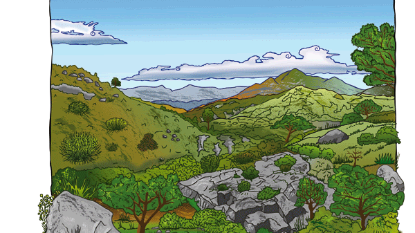 Imagen ilistrativa Chaparral