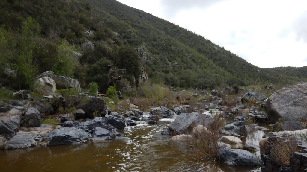 Foto Arroyo Valle de Guadalupe