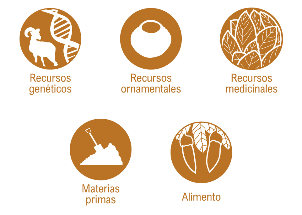 Servicios ecosistemicos de provision valle de guadalupe
