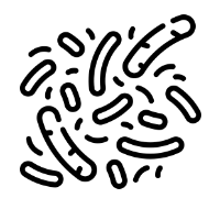 microbiota