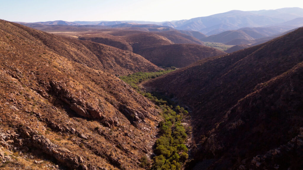 fondo-acuerdos-del-acuifero