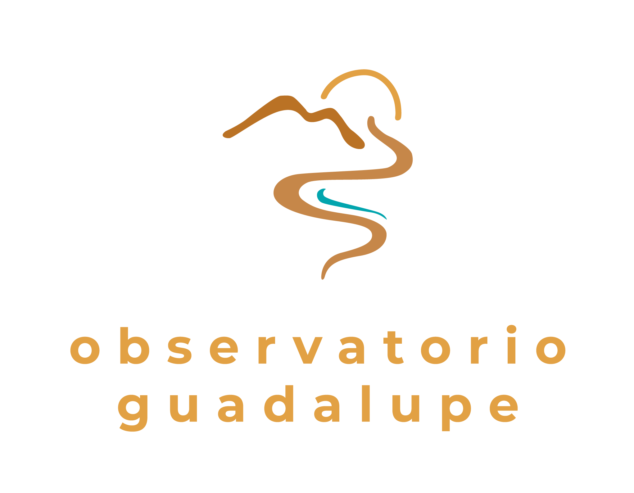 VERTICAL-COLOR-Observatorio Guadalupe