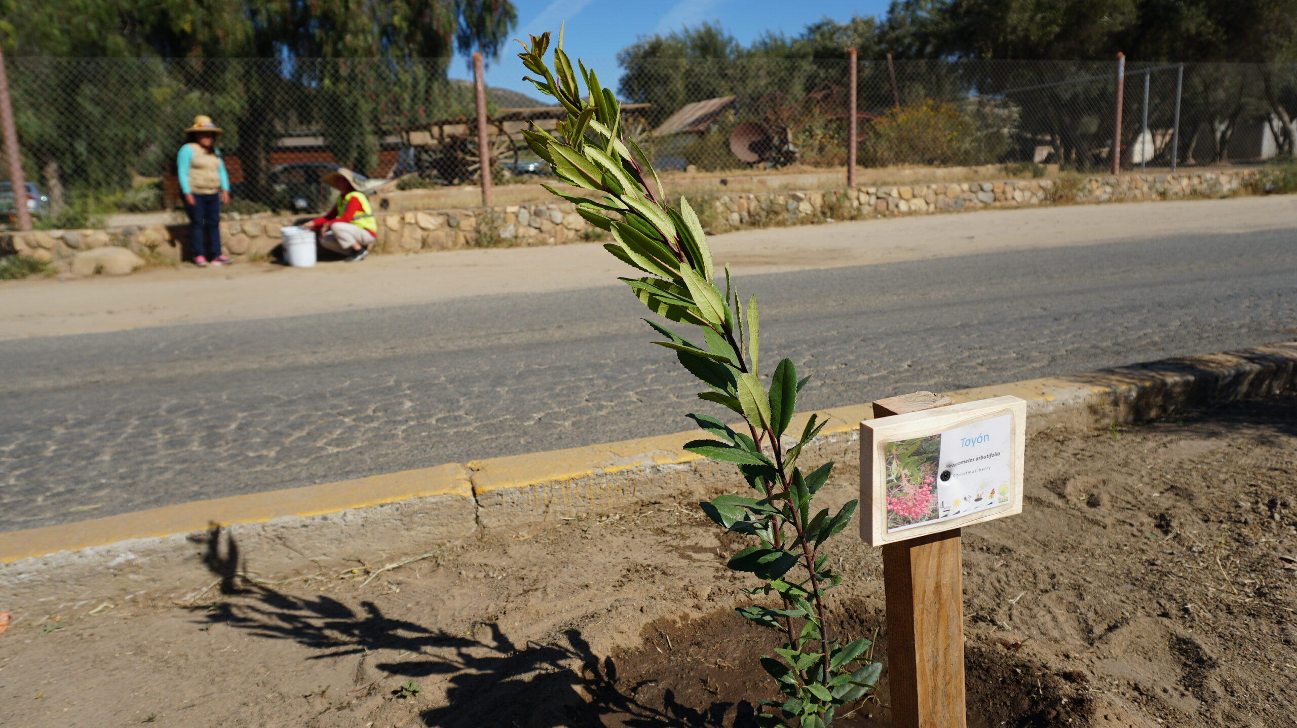 Plantamos en Francisco Zarco