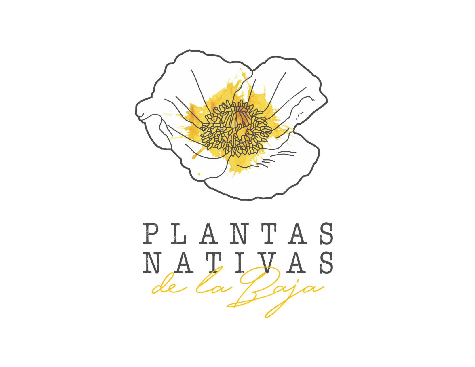 Logo Plantas nativas