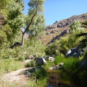 DSCN0581